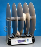 Drehstab-Apparatur für Ratten BAS-47700
