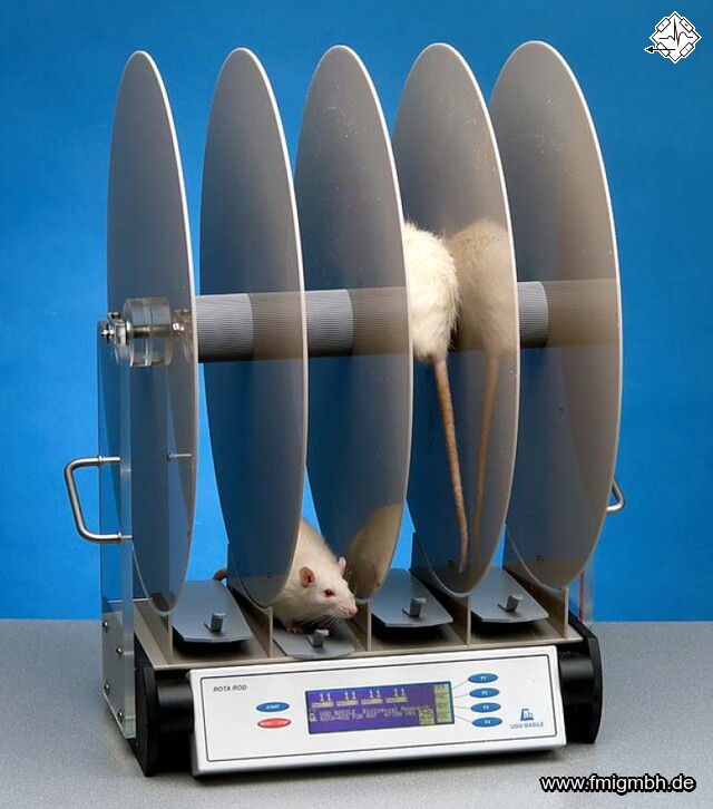 Drehstab-Apparatur für Ratten BAS-47700